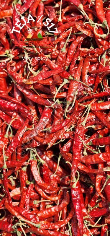 Teja Chilli Supplier,Wholesale Teja Chilli Supplier from Haveri India