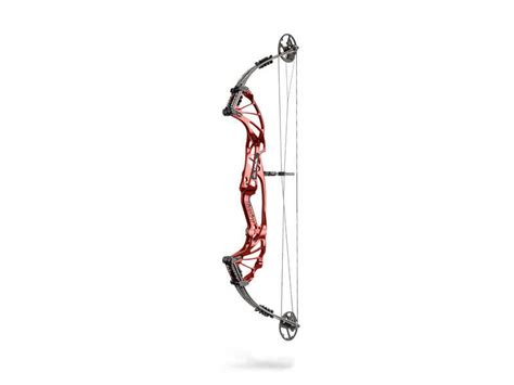 HOYT PREVAIL 37 SVX COMPOUND BOW — ArcheryKart