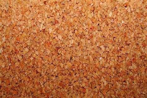 File:Cork.jpg - Wikimedia Commons