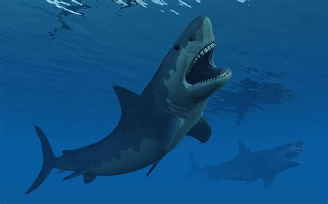 Are Megalodons Still Alive? : Megalodon shark became extinct 2.6 ...