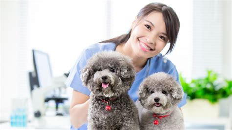 Winslow, ME Veterinary Services | Garland Road Small Animal Hospital