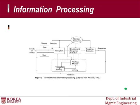 Image result for Information Processing Explained