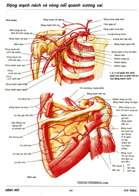 Image result for HTML Tutorial Exercise