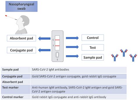 Advances in Nanotechnology-Based Biosensors for Disease Diagnosis[v1 ...