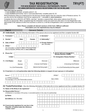 2023-2026 Form IE TR1 (FT) - Blank Fillable Template | Fill Out, Print ...