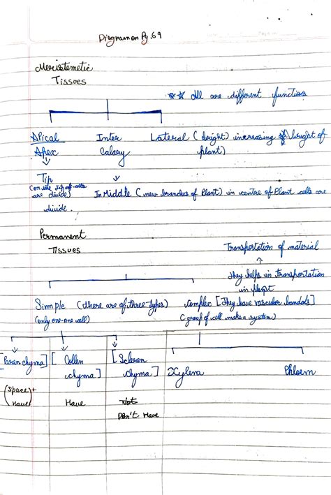 Class 9 Bio Chapter 2 的图像结果
