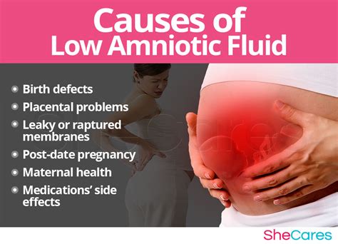 The Secret Of Info About How To Tell If Leaking Amniotic Fluid - Gununique