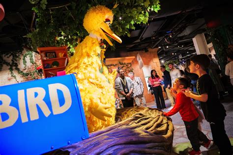 Sesame Street Learn and Play - American Dream