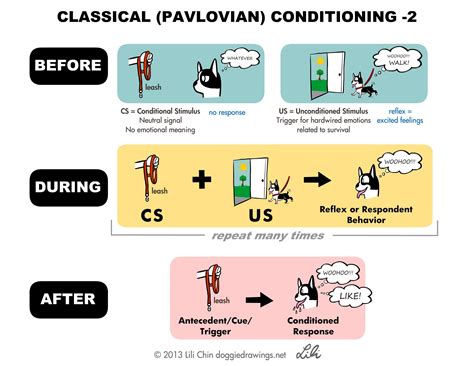 classical and operant conditioning - Google Search | language development | Pinterest | Operant ...