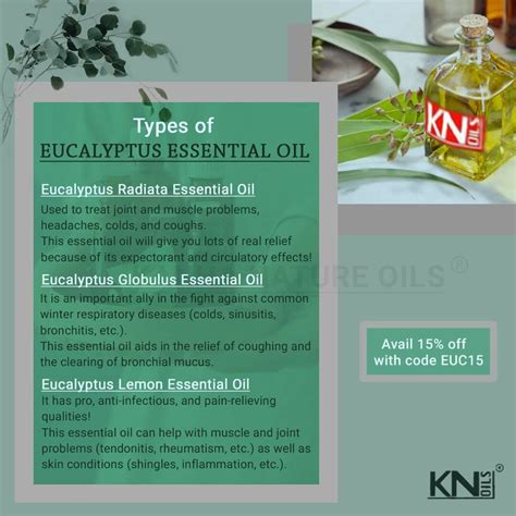 Eucalyptus Oil: Health Benefits, Uses, and Precautions : an overview ...