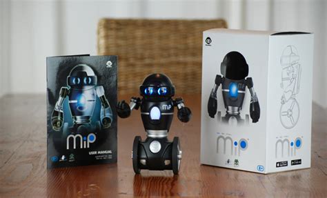 RC Mini MIP Robot 的图像结果