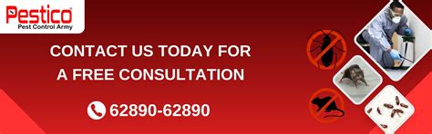 Pest Control Services in Kolkata, Delhi, Bangalore | PESTICO