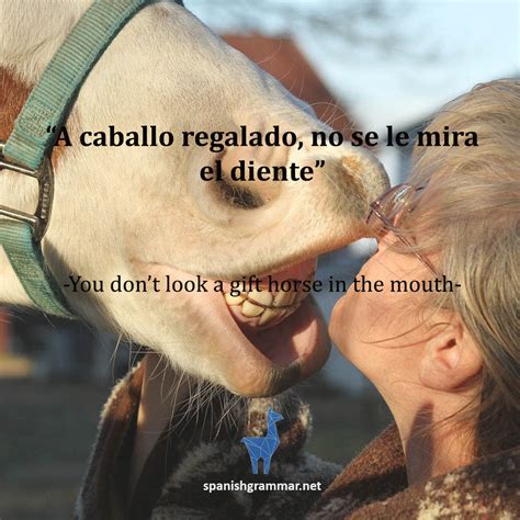 List of Professions and Job Titles in Spanish - Spanish Grammar