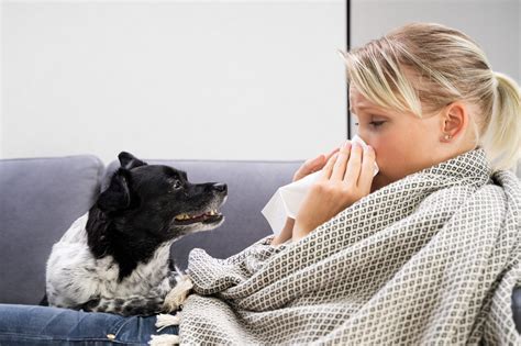 5 Ways A Human Can Get A Dog Sick With Common Illnesses