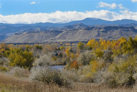 Arvada Real Estate | Homes For Sale in Arvada