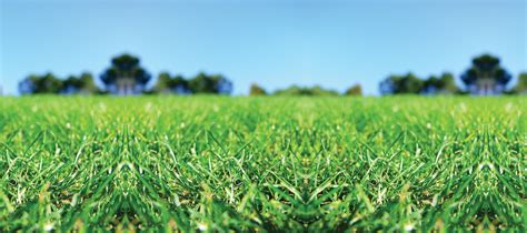 Diggers Hotline, Inc. | LinkedIn