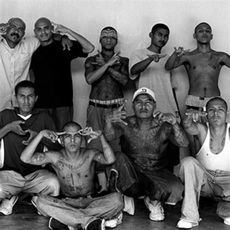 Stream MS - 13 Mara Salvatrucha - City Of The Padres by M3NAC3 2 ...