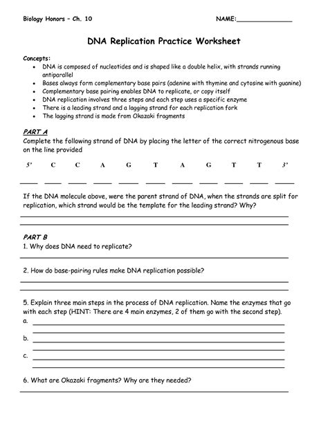 Dna Practice Worksheet - Printable Word Searches