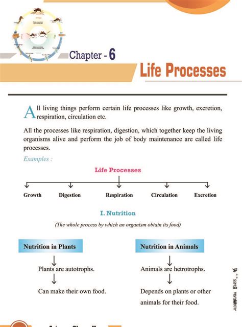 Image result for Class 10 Science Chapter Life Process Full Explanation
