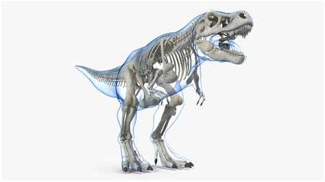 3D Tyrannosaurus Rex Skeleton with Skin | 3D Molier International
