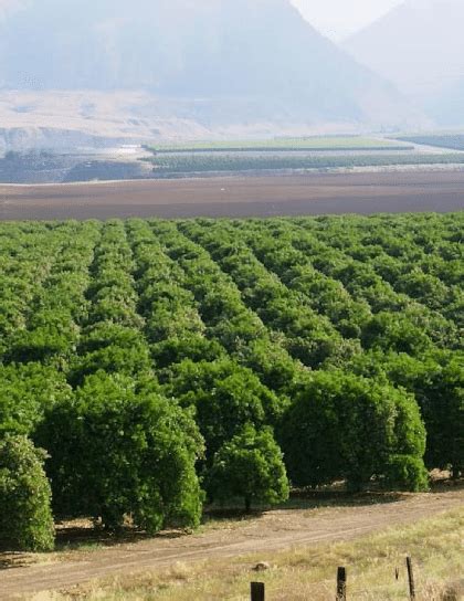 Fresh Taste Produce 的图像结果