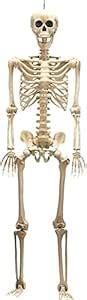 LUDALY 5.5Ft Halloween Life-Size Skeleton
