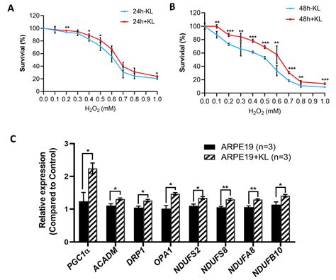 The Anti-Aging Hormone Klotho Promotes Retinal Pigment Epithelium Cell ...