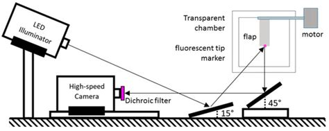 Fluids | Special Issue : Bio-inspired Flow