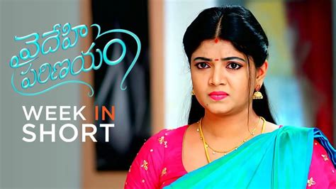 Vaidehi Parinayam TV Serial - Watch Vaidehi Parinayam Online All ...