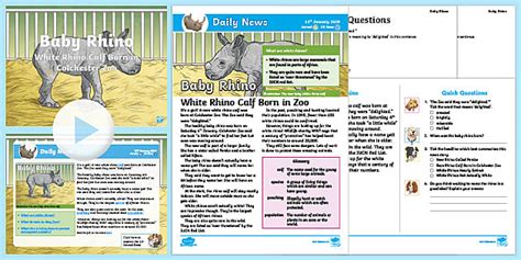 Baby White Rhino Reading Comprehension | Twinkl NewsRoom