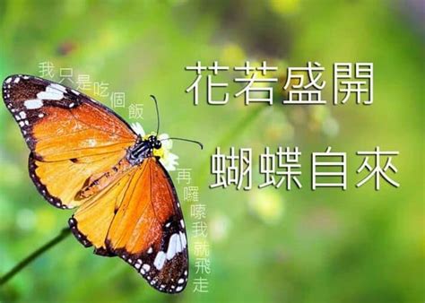 Image result for Computer Programming Mean