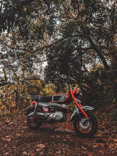 Two Stroke Tuesdays E14 : Rajdoot GTS 'Bobby' 175 - Blast from the Pas ...