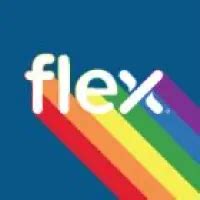 Flex Overview | Working at Flex | GradSiren