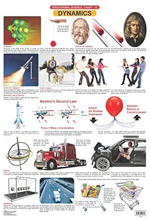Buy Dynamics Wall Chart (Science Chart) - Both Side Hard Laminated ...