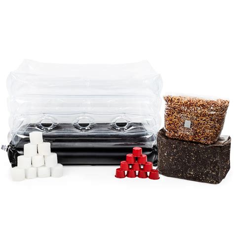 Buy All-in-one Mushroom Grow Kit | Includes Inflatable Monotub, 3lb ...