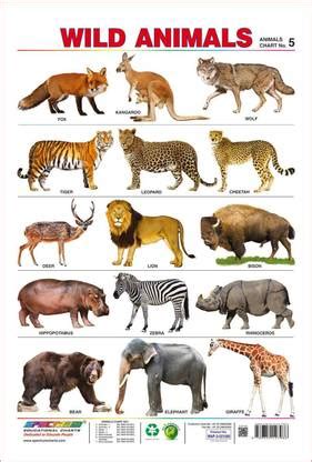 wild animal charts for kids Motivational Poster|Inspirational Poster ...