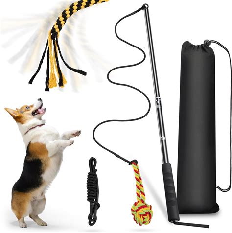 Flirt Pole Dogs, Extendable Teaser Wand Pet Flirt Stick to Train Dog ...