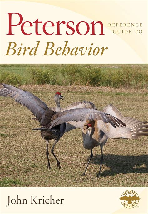 New Book: Peterson Reference Guide to Bird Behavior