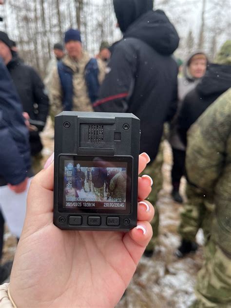 В Хакасии заключительный осмотр лесосек будет проходить с ...