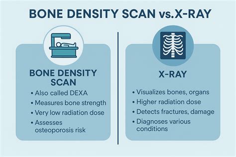Bone Density Scan vs. X-Rays Main Cost & Differences - Bergman Ross ...