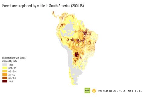 Deforestation 的图像结果