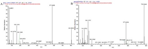 Plasma Protein Binding Rate and Pharmacokinetics of Lekethromycin in Rats