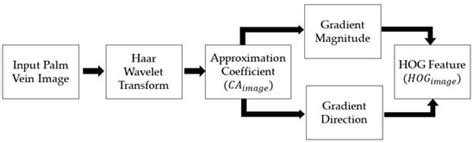 Hybrid Feature Extractor Using Discrete Wavelet Transform and Histogram ...