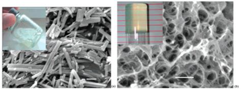 Crystal Growth in Gels from the Mechanisms of Crystal Growth to Control ...