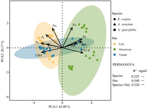 Vein Network and Climatic Factors Predict the Leaf Economic Spectrum of ...