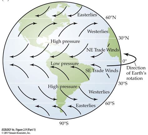 Trade Wind 的图像结果