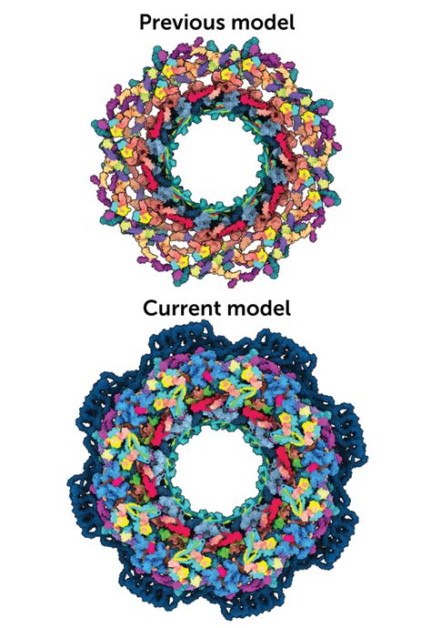 Image result for Protein Structure Modelling