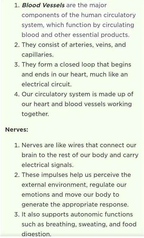 Why nerves are different compared to blood vessels,blood and heart ...