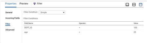 Informatica Filter 的图像结果