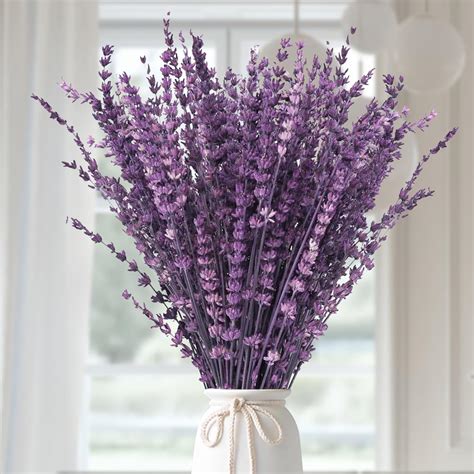 Amazon.com: Dried Purple Lavender Flowers Bundle-Dried Preserved ...